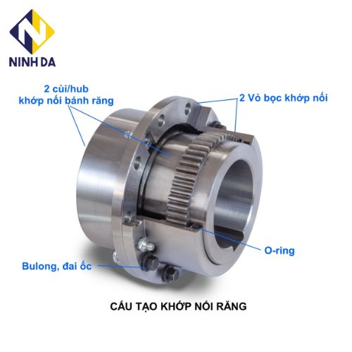 Cấu tạo khớp nối răng